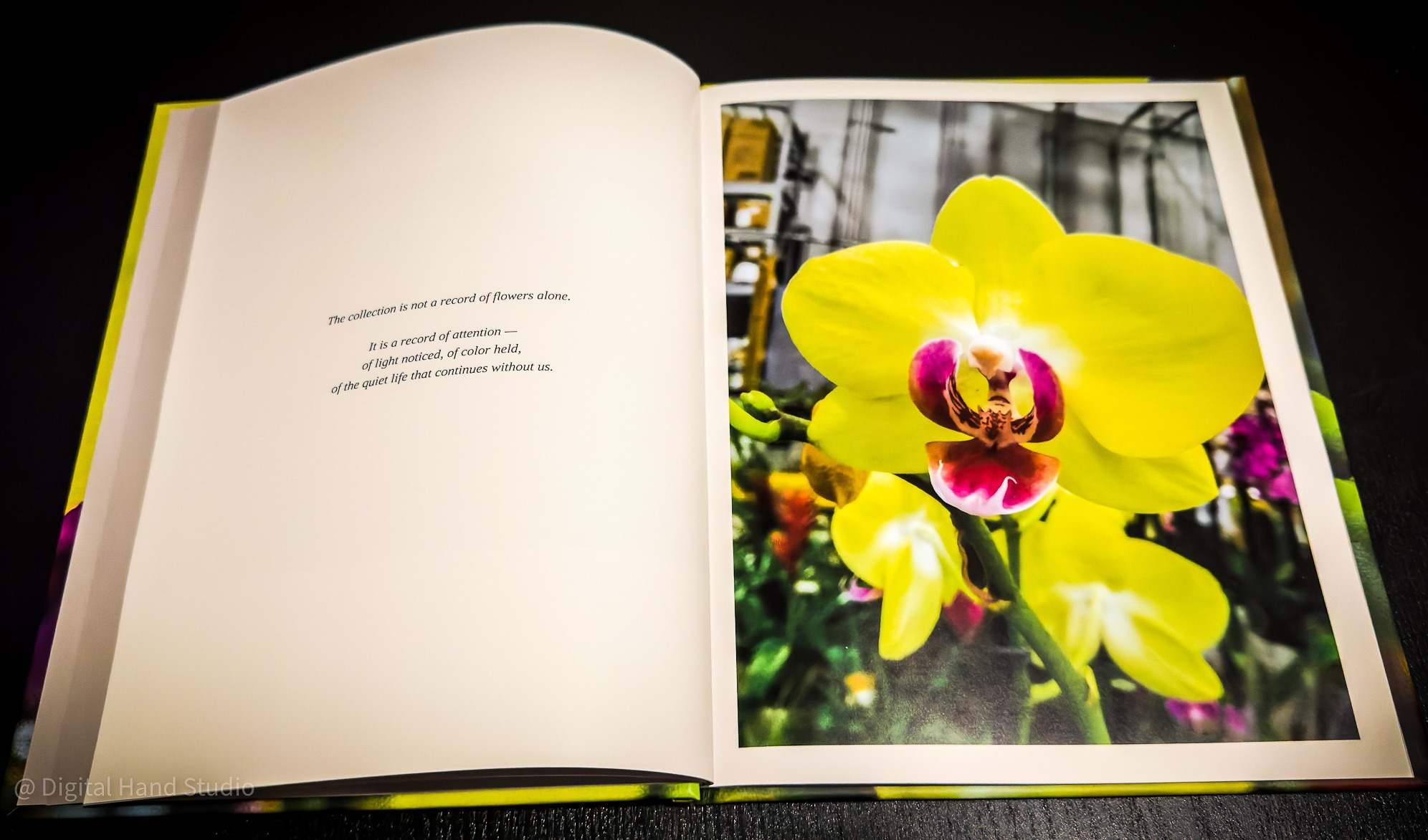 An open photography book featuring a yellow orchid photograph, created by the founder